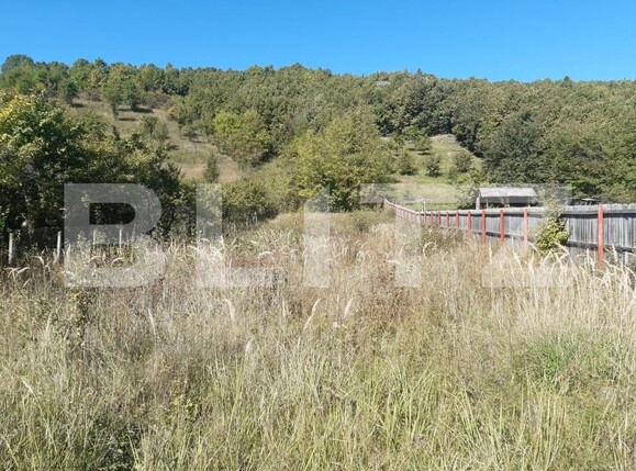 Teren de vânzare Central - 152121TV | BLITZ Pitești | Poza1