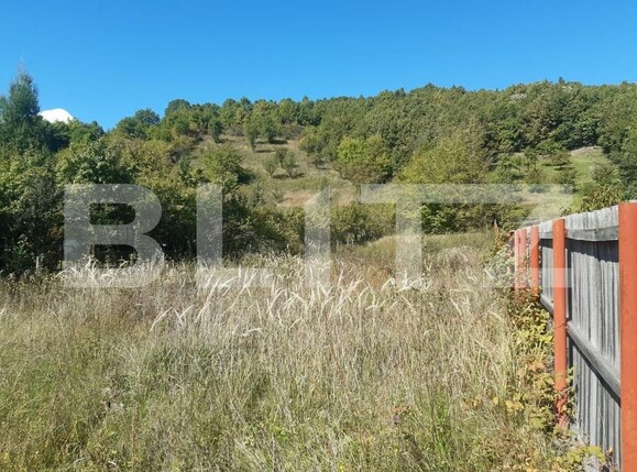 Teren de vânzare Central - 152121TV | BLITZ Pitești | Poza3