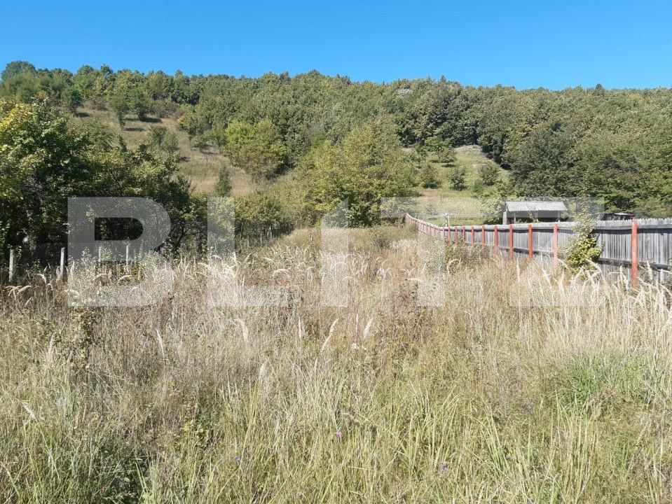 Teren de vânzare Central - 152121TV | BLITZ Pitești | Poza2