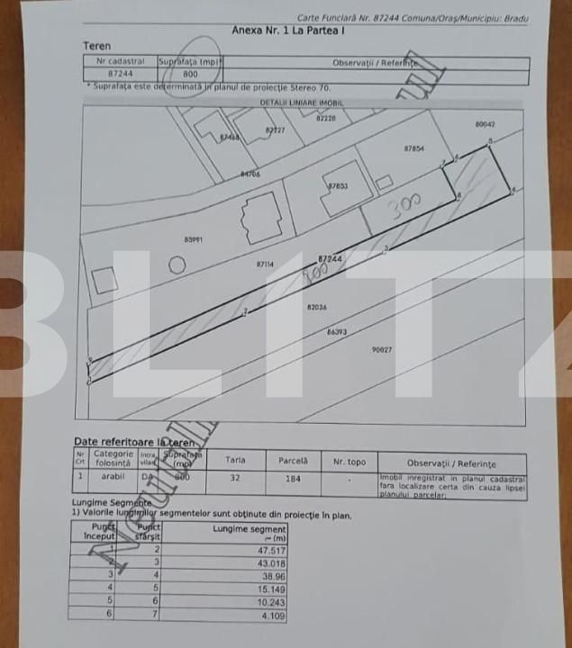 Teren de vânzare Bradu - 152165TV | BLITZ Pitești | Poza2