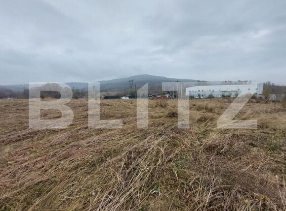 Teren de vânzare Curtea de Argeș - 152185TV | BLITZ Pitești | Poza5