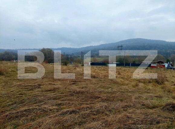 Teren de vânzare Curtea de Argeș - 152185TV | BLITZ Pitești | Poza3