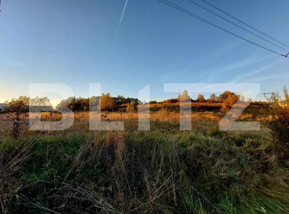 Teren de vânzare Curtea de Argeș - 152185TV | BLITZ Pitești | Poza2