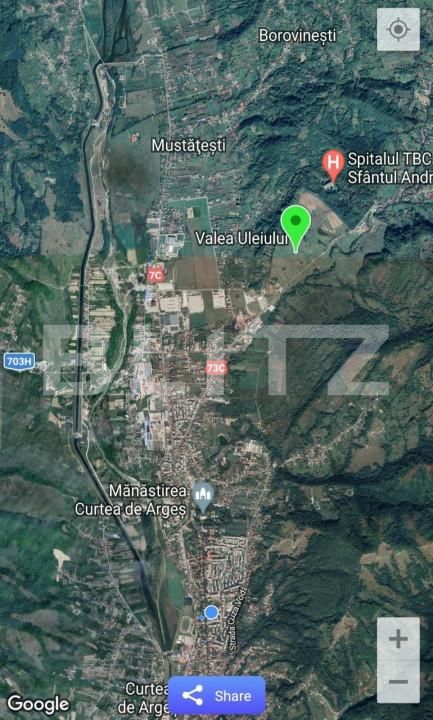 Teren de vânzare Curtea de Argeș - 152185TV | BLITZ Pitești | Poza6
