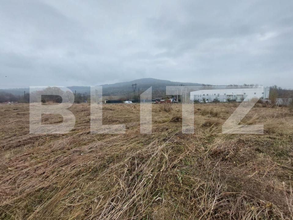 Teren de vânzare Curtea de Argeș - 152185TV | BLITZ Pitești | Poza5