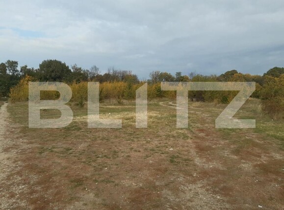 Teren de vânzare Căteasca - 152189TV | BLITZ Pitești | Poza2