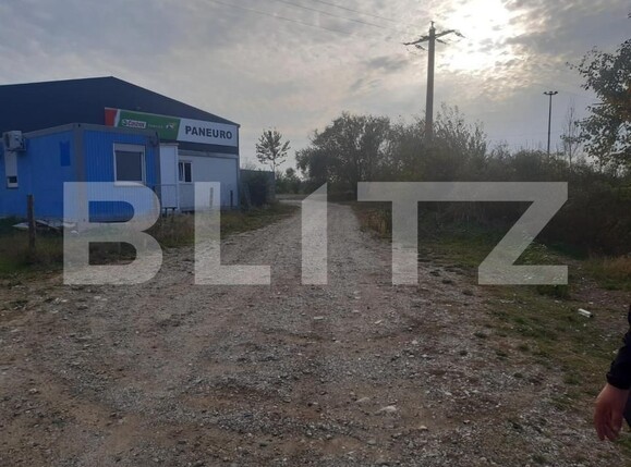 Teren de vânzare Căteasca - 152189TV | BLITZ Pitești | Poza4
