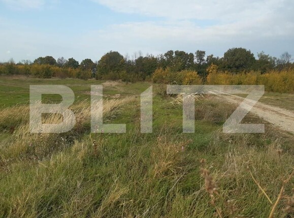 Teren de vânzare Căteasca - 152189TV | BLITZ Pitești | Poza8