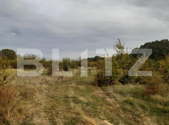 Teren de vânzare Căteasca - 152189TV | BLITZ Pitești | Poza7