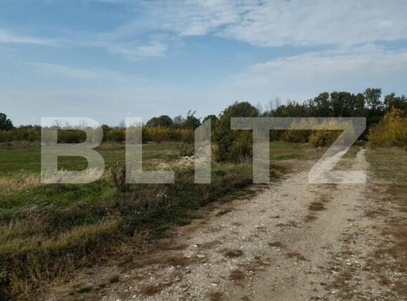Teren de vânzare Căteasca - 152189TV | BLITZ Pitești | Poza5