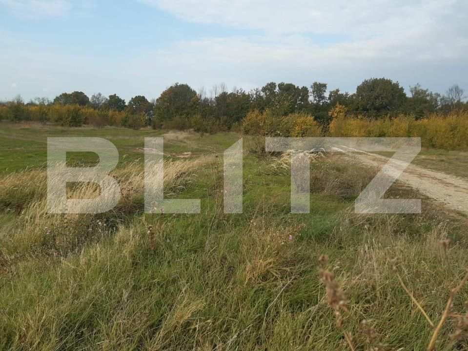 Teren de vânzare Căteasca - 152189TV | BLITZ Pitești | Poza8