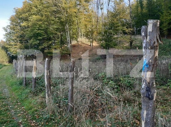 Teren de vânzare Bascov - 152190TV | BLITZ Pitești | Poza6