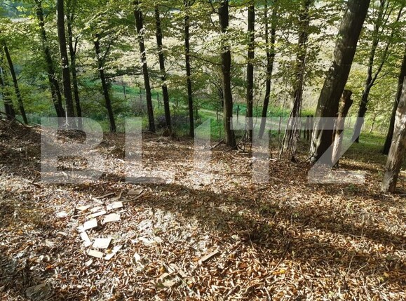 Teren de vânzare Bascov - 152190TV | BLITZ Pitești | Poza4