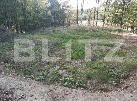Teren de vânzare Bascov - 152190TV | BLITZ Pitești | Poza2