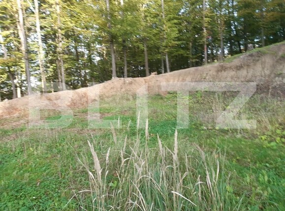 Teren de vânzare Bascov - 152190TV | BLITZ Pitești | Poza3