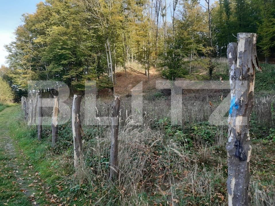 Teren de vânzare Bascov - 152190TV | BLITZ Pitești | Poza6