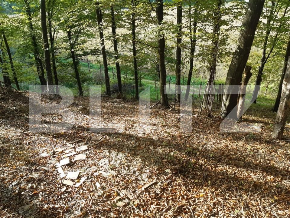 Teren de vânzare Bascov - 152190TV | BLITZ Pitești | Poza4