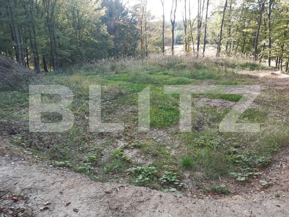 Teren de vânzare Bascov - 152190TV | BLITZ Pitești | Poza2