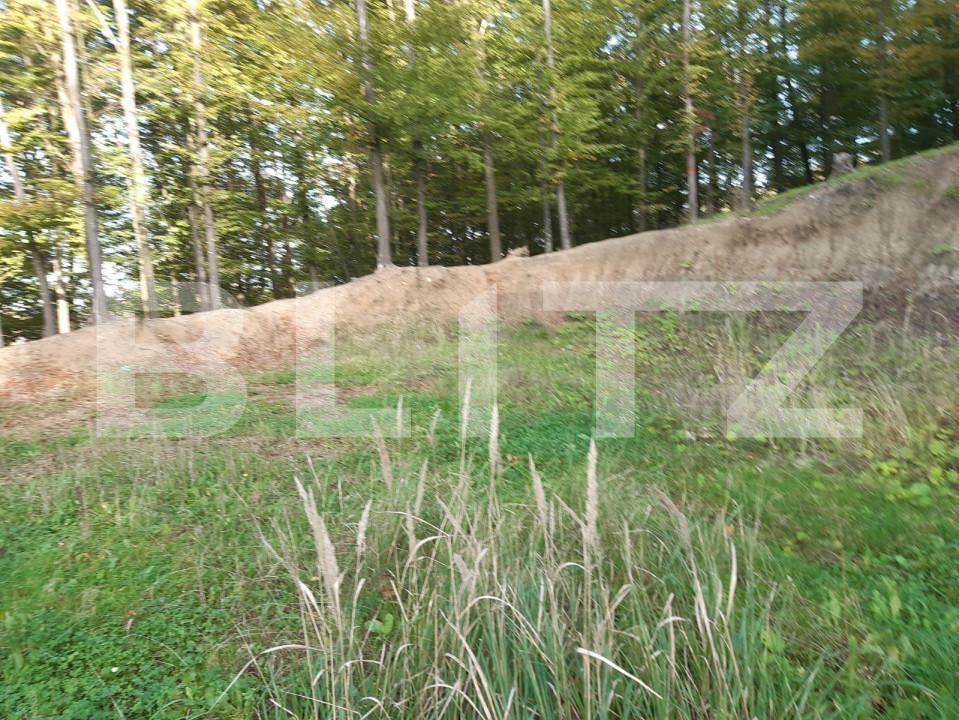 Teren de vânzare Bascov - 152190TV | BLITZ Pitești | Poza3