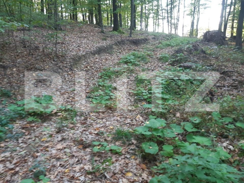 Teren de vânzare Bascov - 152190TV | BLITZ Pitești | Poza5