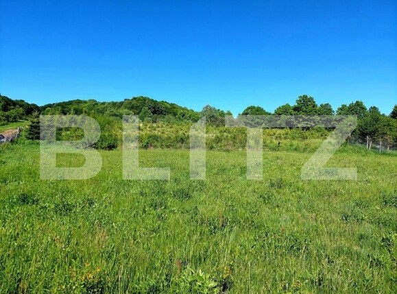 Teren de vânzare Curtea de Argeș - 152193TV | BLITZ Pitești | Poza1
