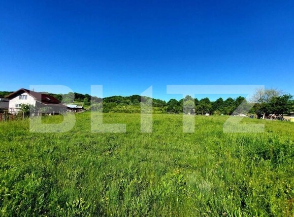 Teren de vânzare Curtea de Argeș - 152193TV | BLITZ Pitești | Poza4