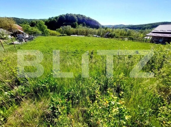 Teren de vânzare Curtea de Argeș - 152193TV | BLITZ Pitești | Poza5