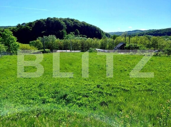 Teren de vânzare Curtea de Argeș - 152193TV | BLITZ Pitești | Poza7