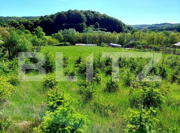 Teren de vânzare Curtea de Argeș - 152193TV | BLITZ Pitești | Poza2