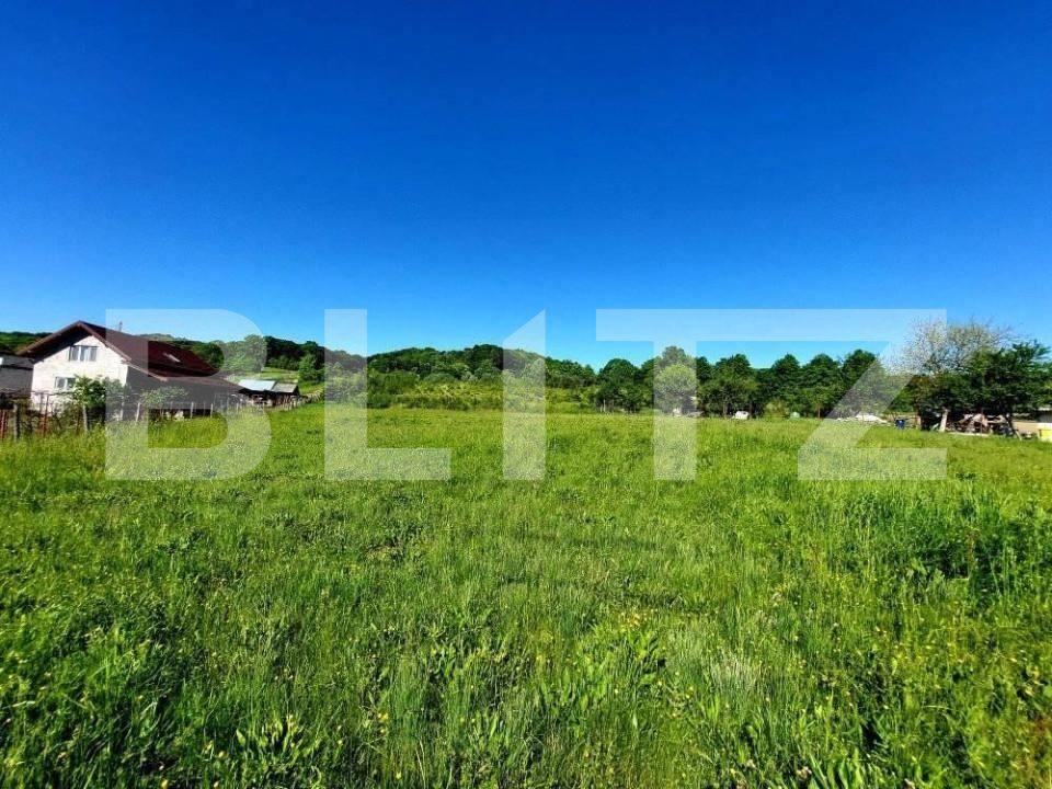 Teren de vânzare Curtea de Argeș - 152193TV | BLITZ Pitești | Poza4