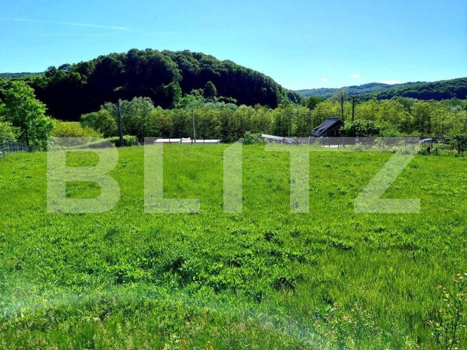 Teren de vânzare Curtea de Argeș - 152193TV | BLITZ Pitești | Poza7
