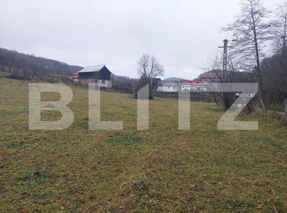 Teren de vânzare Curtea de Argeș - 152205TV | BLITZ Pitești | Poza1