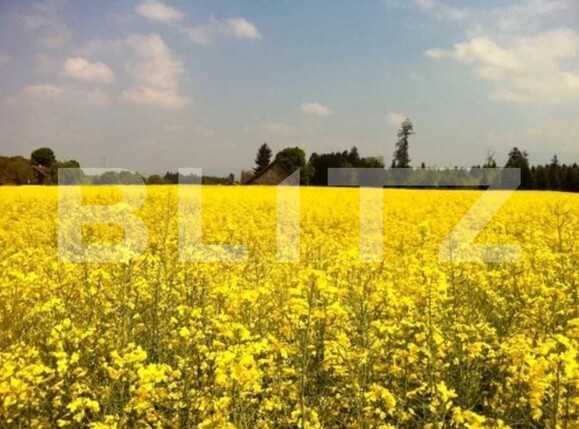 Teren de vânzare Albota - 152216TV | BLITZ Pitești | Poza1