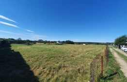 Teren intravilan, 1000 mp, Mosoaia 