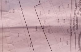 Teren intravilan, 1000 mp, Mosoaia 