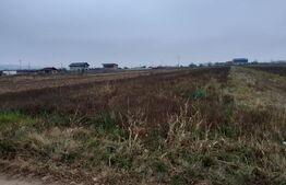 Teren extravilan, 5000mp, Stefanesti