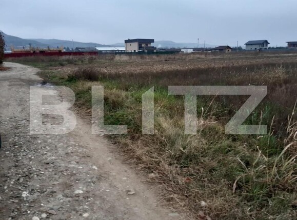 Teren de vânzare Stefanesti - 152220TV | BLITZ Pitești | Poza5