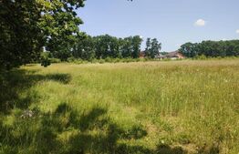 Teren de vanzare, 357 mp. - Smeura