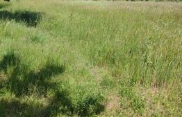 Teren de vanzare, 357 mp. - Smeura