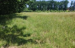 Teren de vanzare, 357 mp. - Smeura