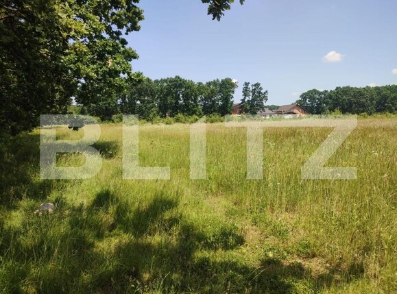 Teren de vânzare Smeura - 152338TV | BLITZ Pitești | Poza1