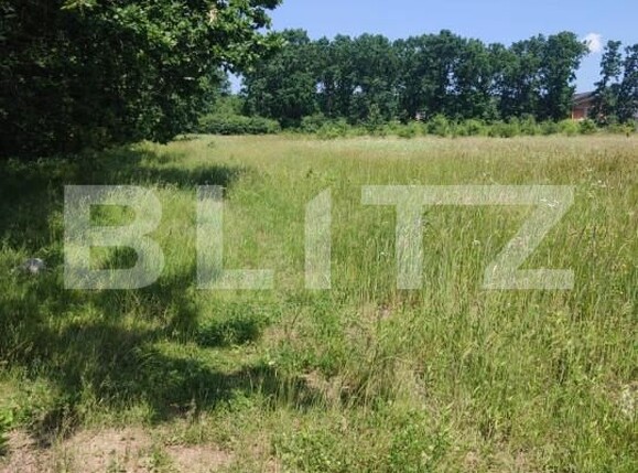 Teren de vânzare Smeura - 152338TV | BLITZ Pitești | Poza2