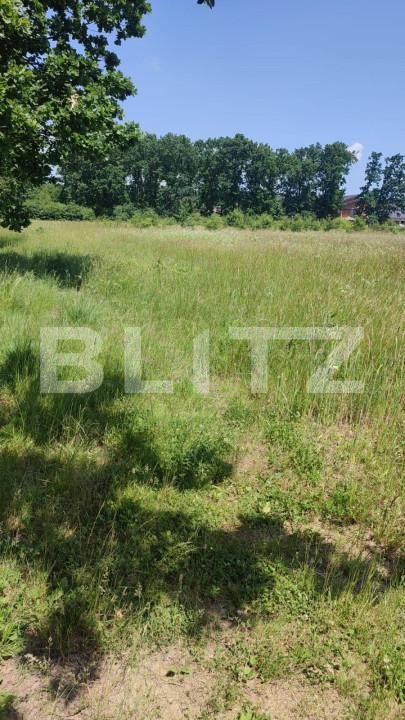 Teren de vânzare Smeura - 152338TV | BLITZ Pitești | Poza3