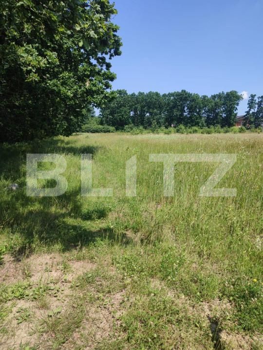 Teren de vânzare Smeura - 152338TV | BLITZ Pitești | Poza2