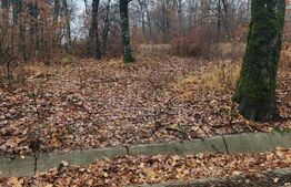 Padure de vanzare, 679 mp, Colina Verde - Smeura