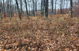 Padure de vanzare, 679 mp, Colina Verde - Smeura