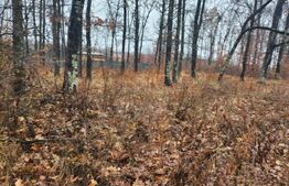 Padure de vanzare, 679 mp, Colina Verde - Smeura