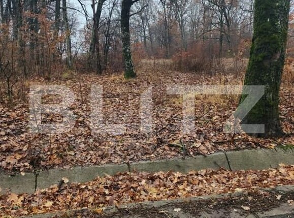 Teren de vânzare Smeura - 152339TV | BLITZ Pitești | Poza1