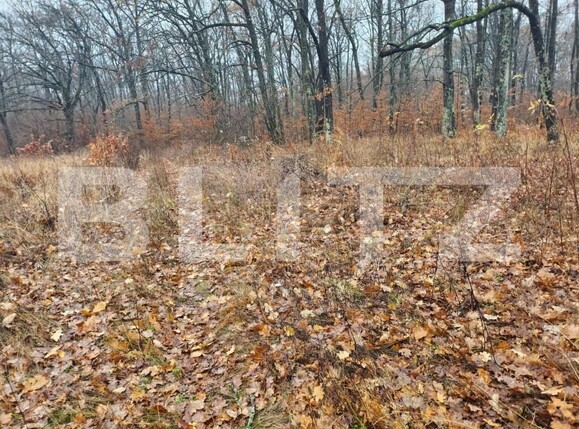 Teren de vânzare Smeura - 152339TV | BLITZ Pitești | Poza4