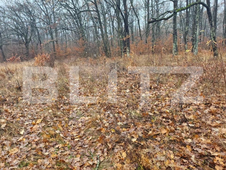 Teren de vânzare Smeura - 152339TV | BLITZ Pitești | Poza4